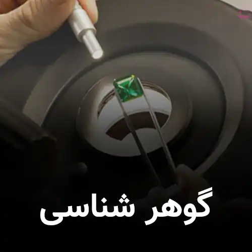 گوهر شانسی